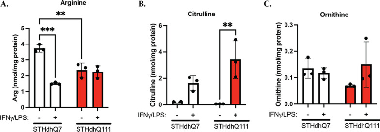 Fig. 6