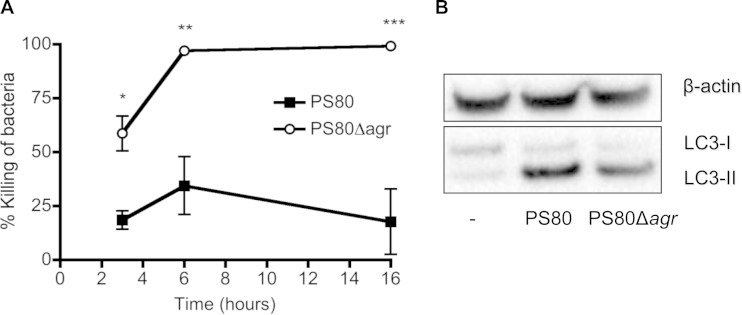 FIG 7