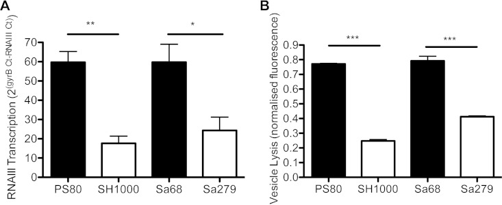 FIG 6