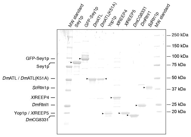 Extended Data Figure 1