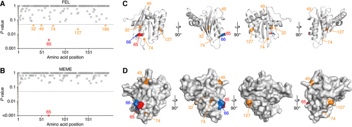 FIG 2