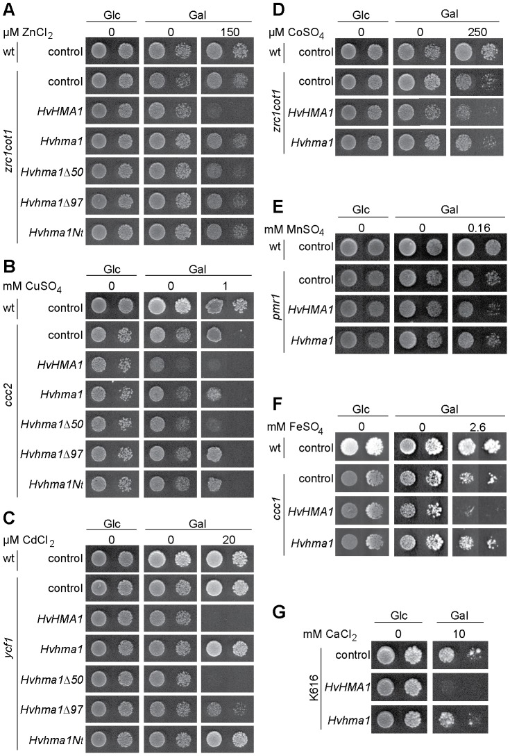 Figure 10