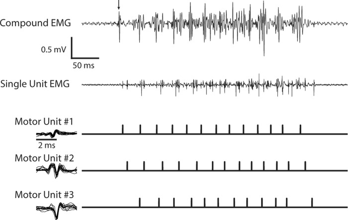 Fig. 3.