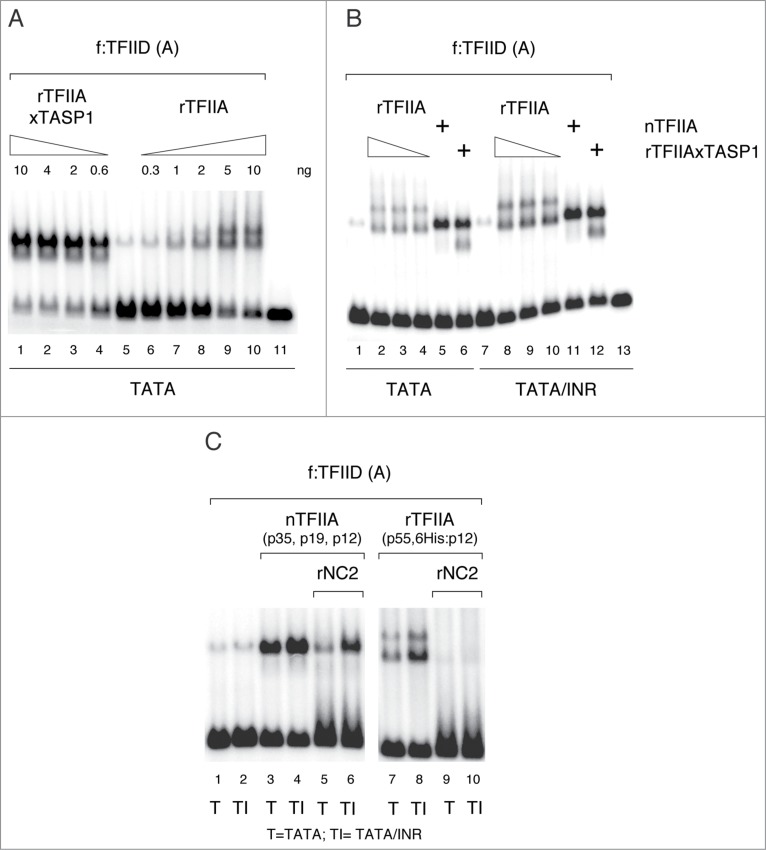 Figure 4.