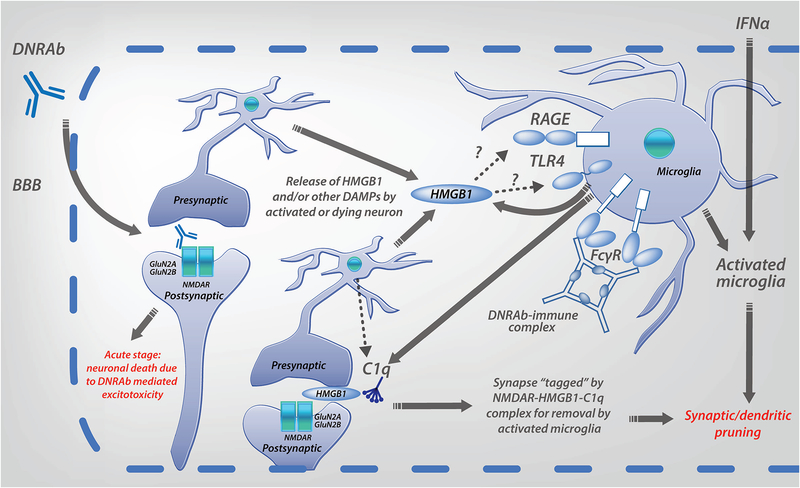 Figure 2: