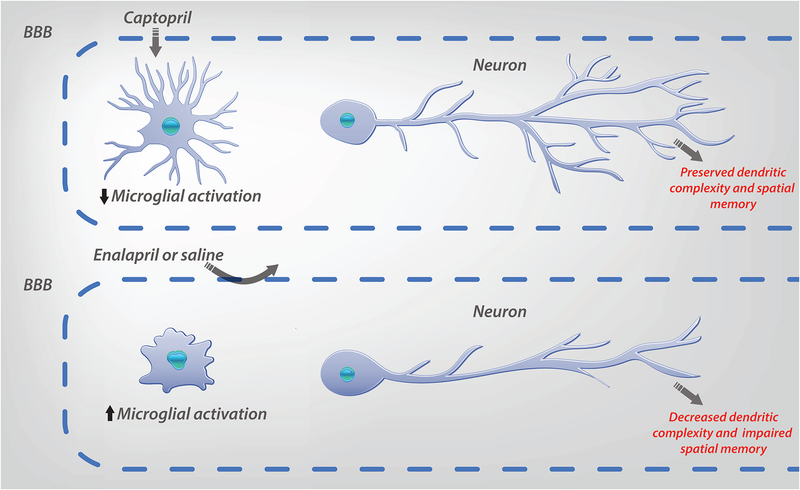 Figure 3: