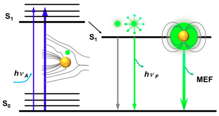 Scheme 3