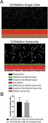 FIGURE 6:
