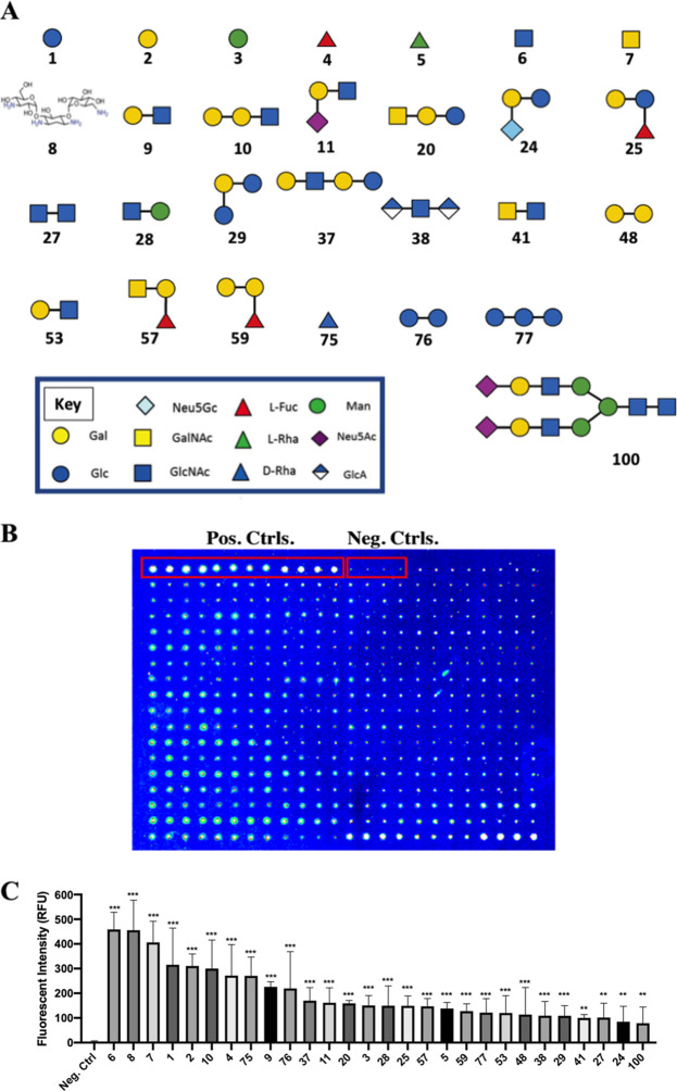 FIG 2