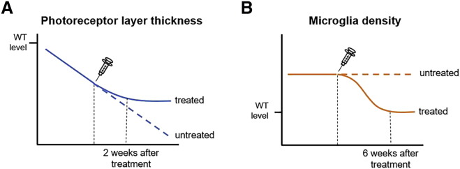 Figure 5