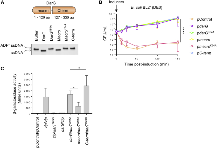 Figure 2