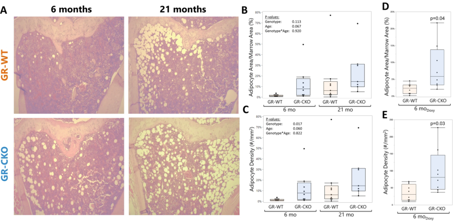 Figure 4: