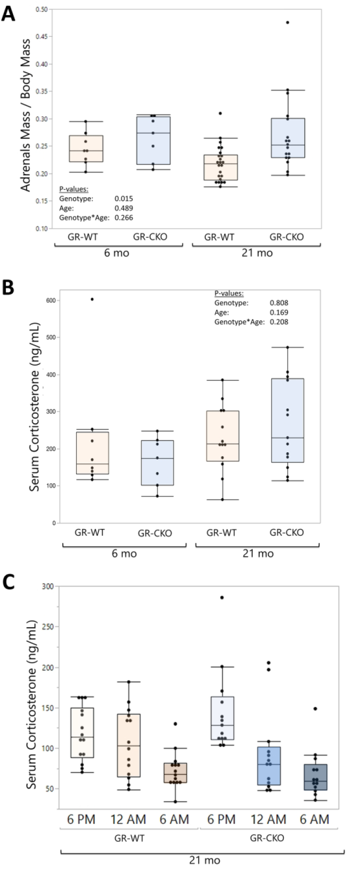 Figure 7: