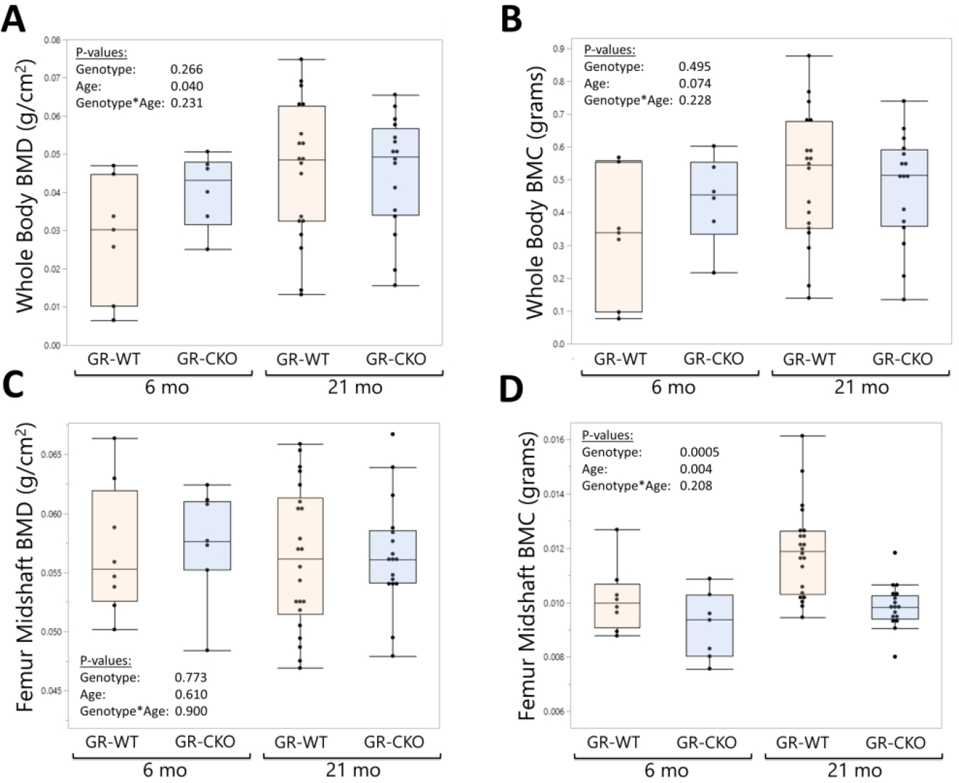 Figure 2: