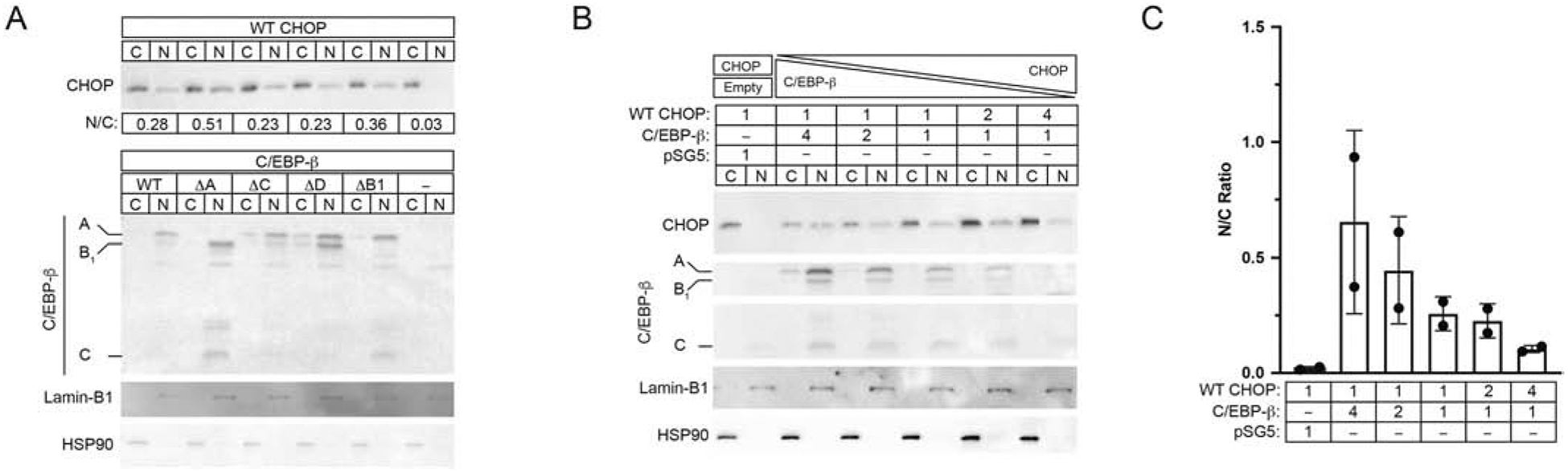 Fig. 3.