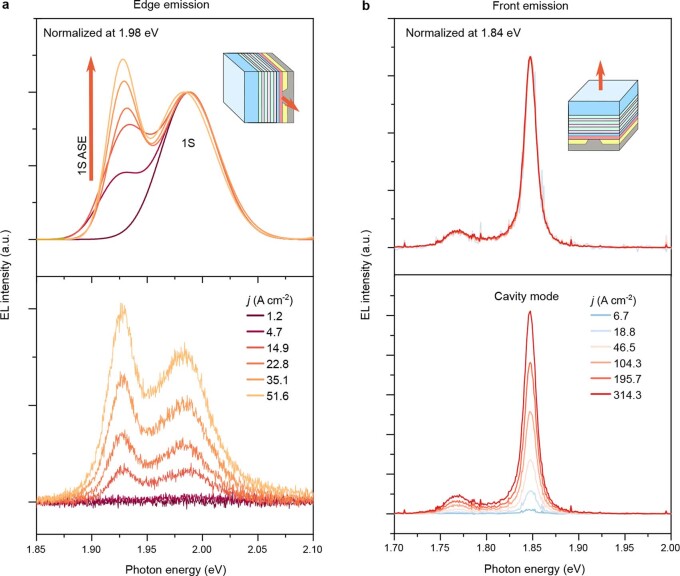 Extended Data Fig. 5