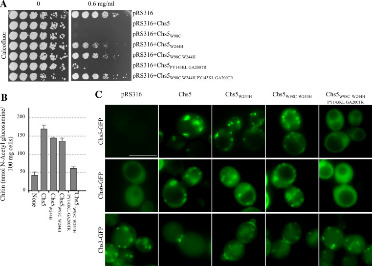 Fig. 4