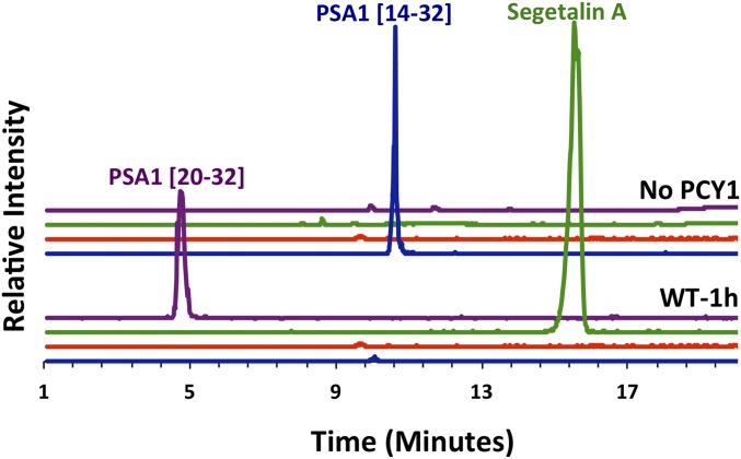 Fig. 2.