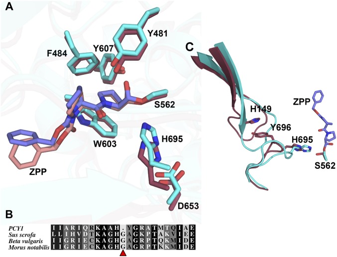 Fig. 4.