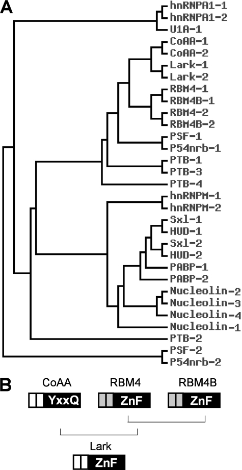 FIGURE 9.