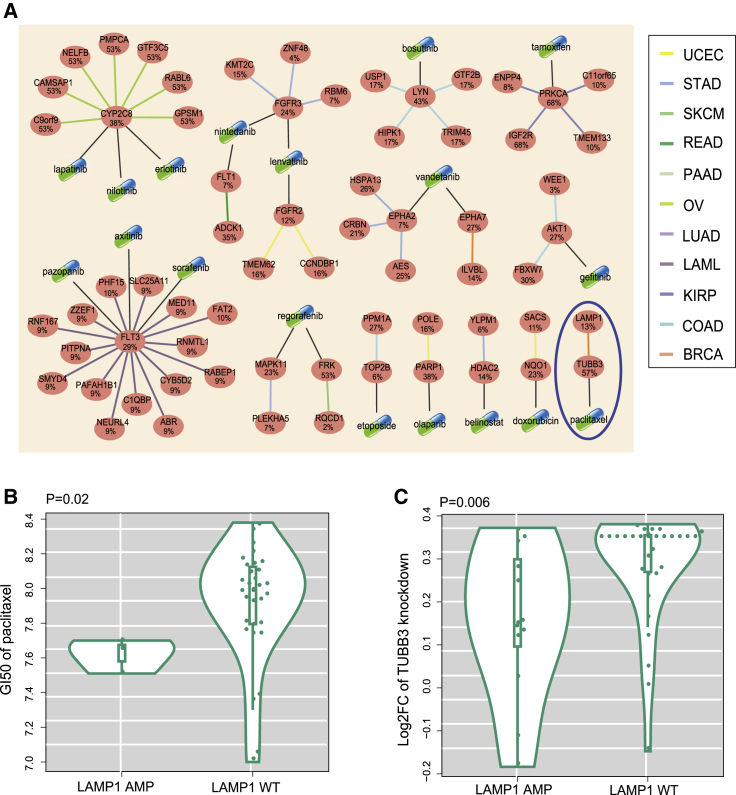 Figure 7