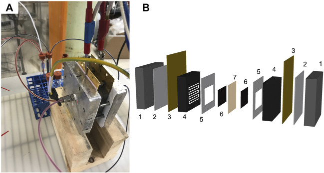 FIGURE 3