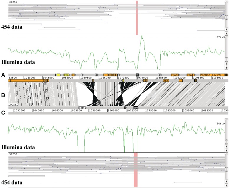 Figure 5: