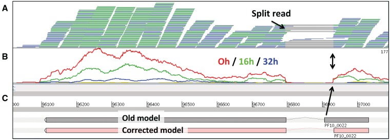 Figure 4: