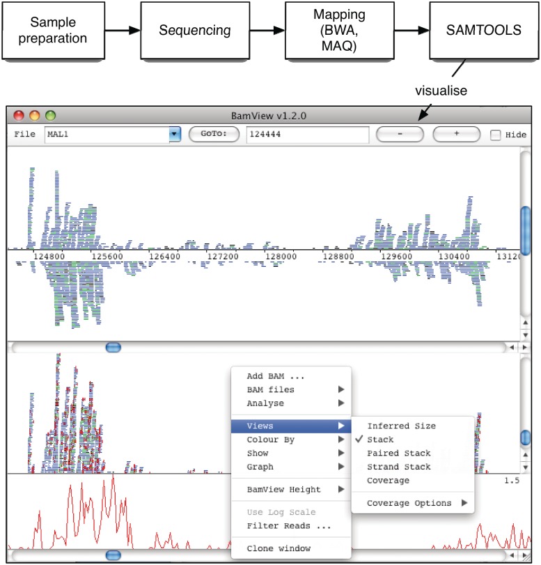 Figure 1: