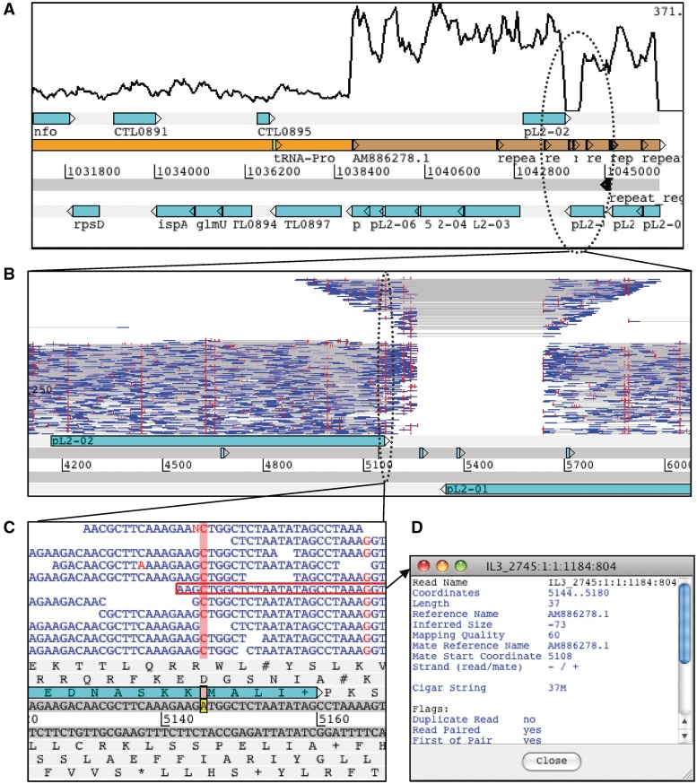 Figure 3: