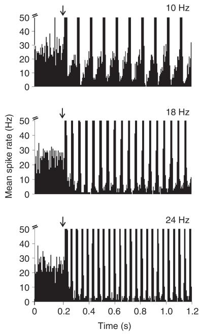 Fig. 6