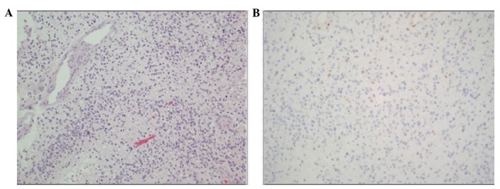 Figure 3.