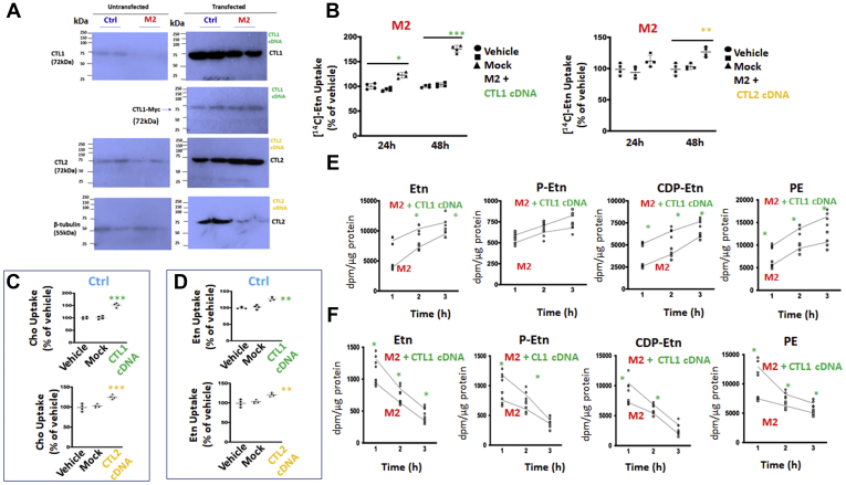 Figure 3