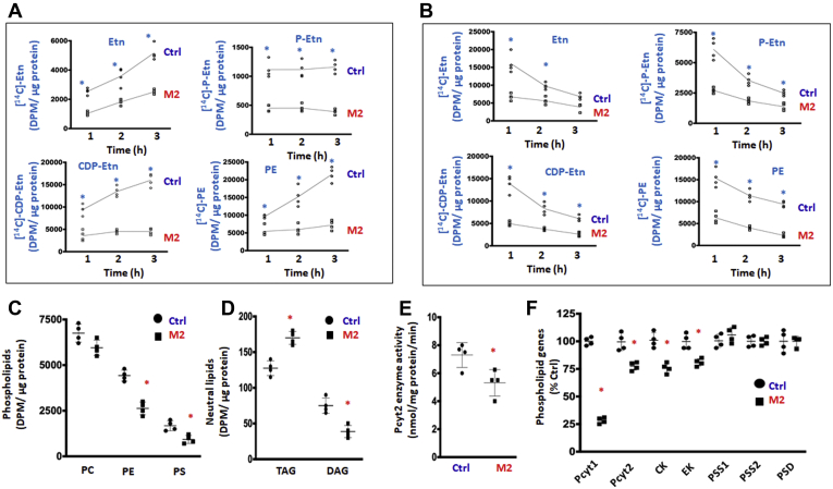 Figure 4