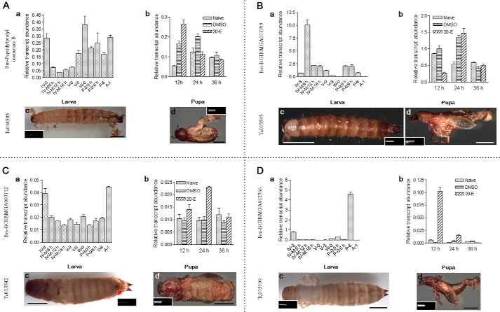 FIGURE 11.