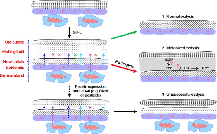 FIGURE 12.