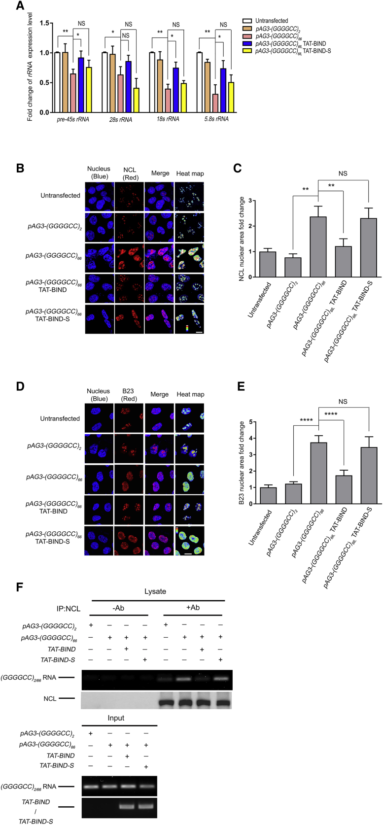 Figure 3