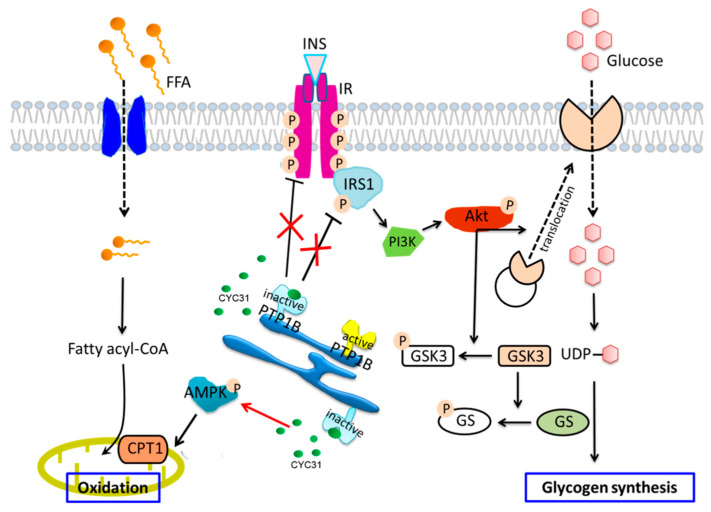 Figure 7