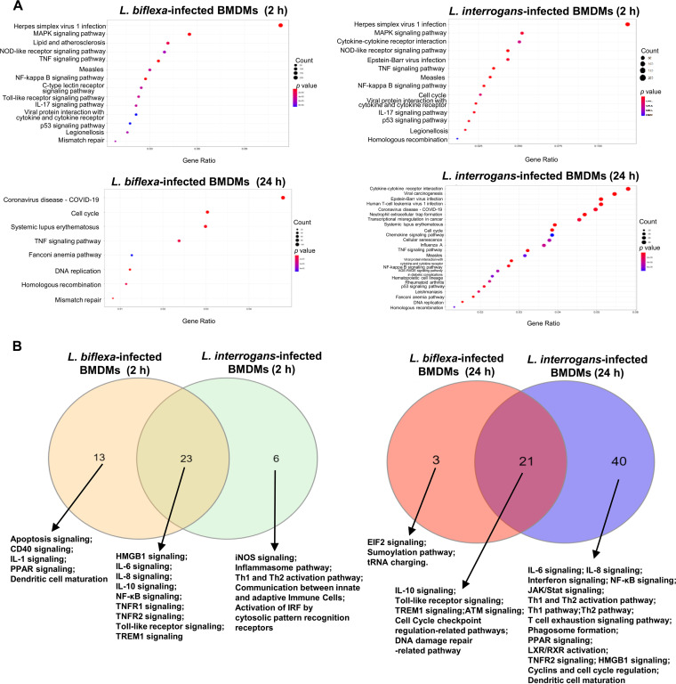 FIG 3