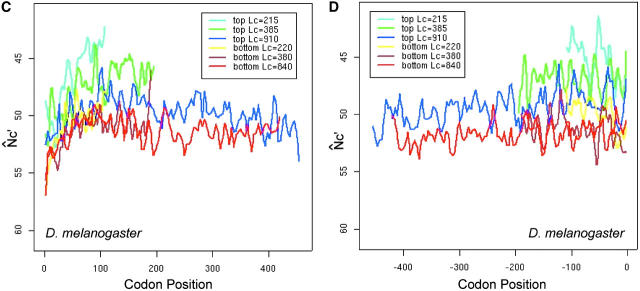 Figure 6.—