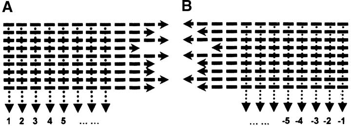 Figure 1.—