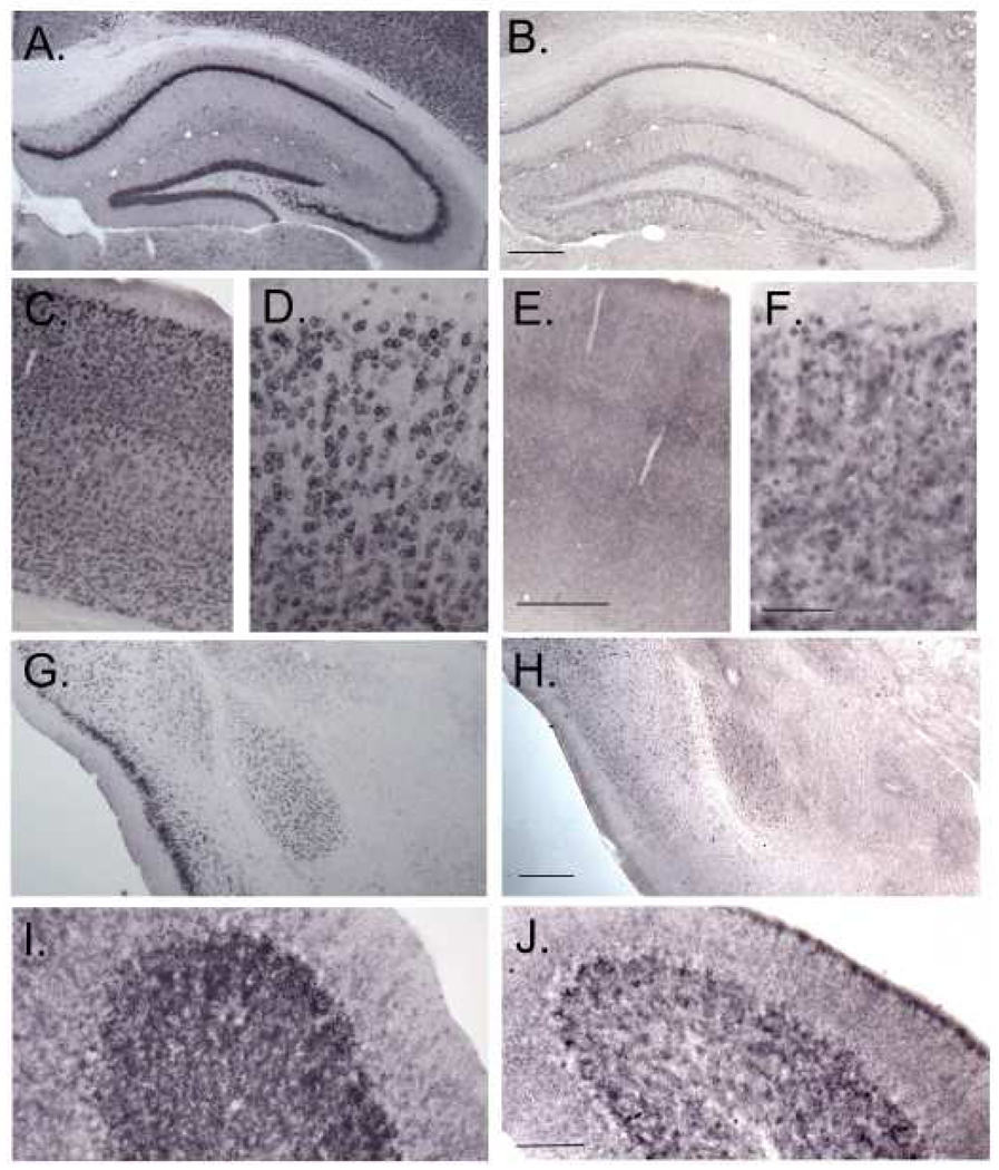 Fig. 12