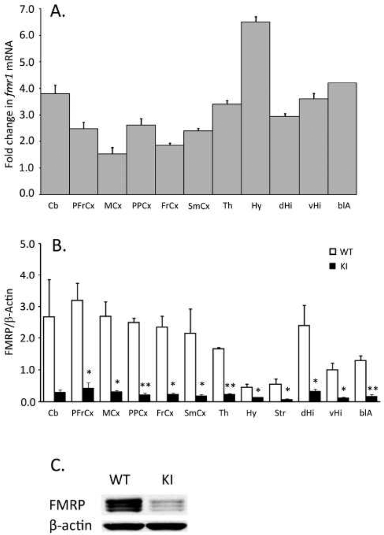 Fig. 11