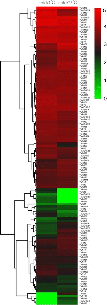 Fig. 10