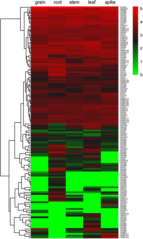 Fig. 7