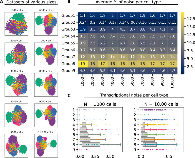 Figure 1—figure supplement 4.