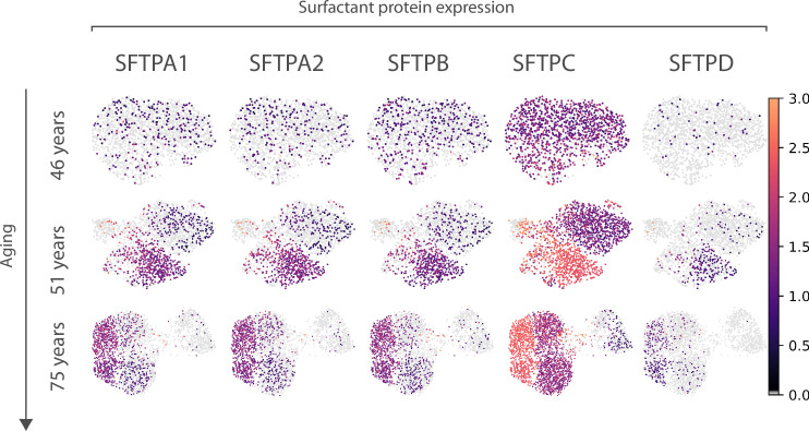 Figure 5—figure supplement 1.