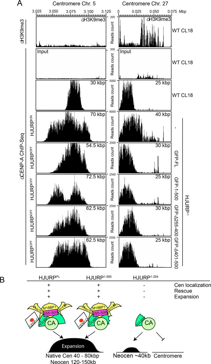 FIGURE 6: