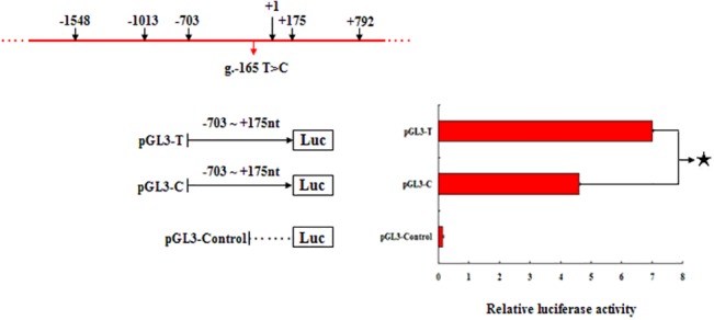 Fig 7