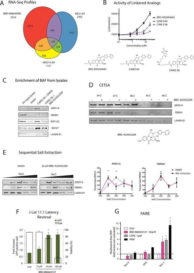 Figure 5: